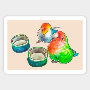The watercolor parrots Magnet